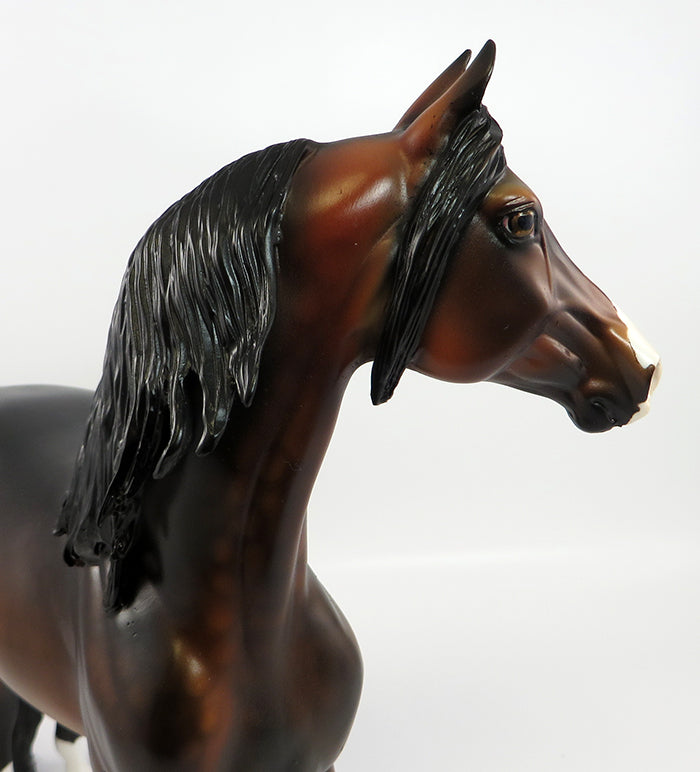 TRUE NORTH-OOAK DAPPLE BAY MORGAN MODEL HORSE BY DAWN QUICK 2/10