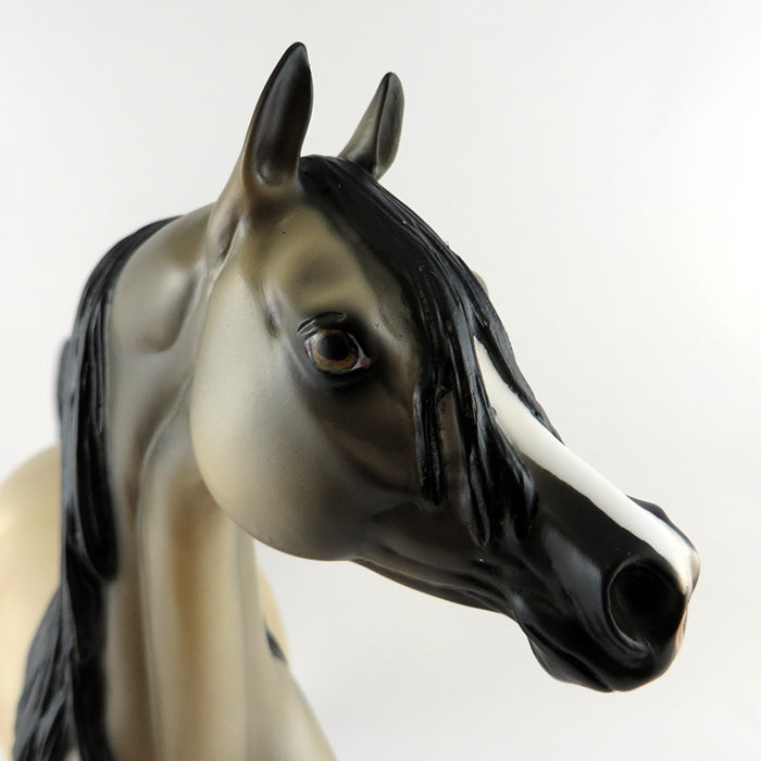 BANCO-OOAK BUCKSKIN  ARABIAN HORSE MODEL 9/15