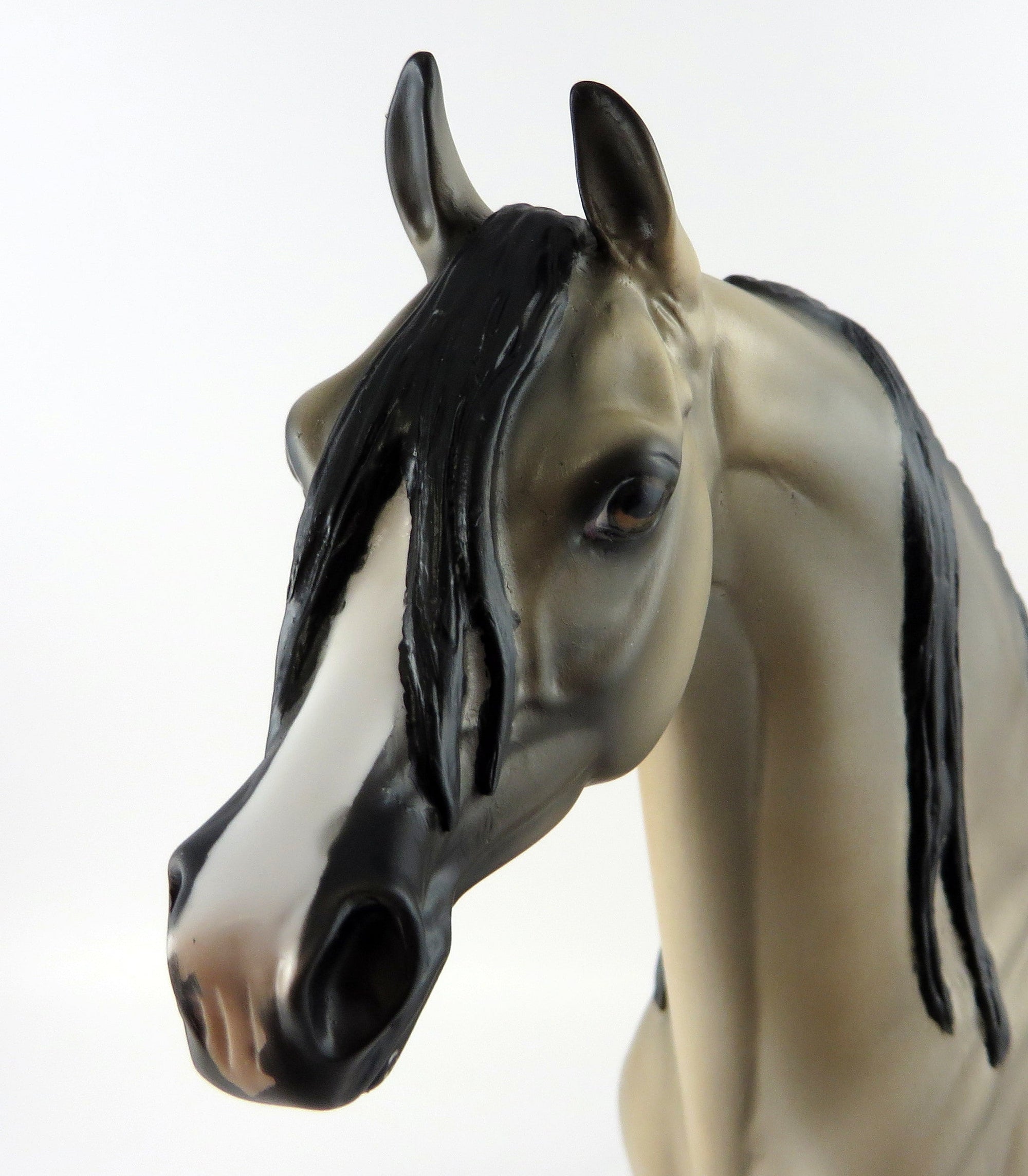 BANCO-OOAK BUCKSKIN  ARABIAN HORSE MODEL 9/15