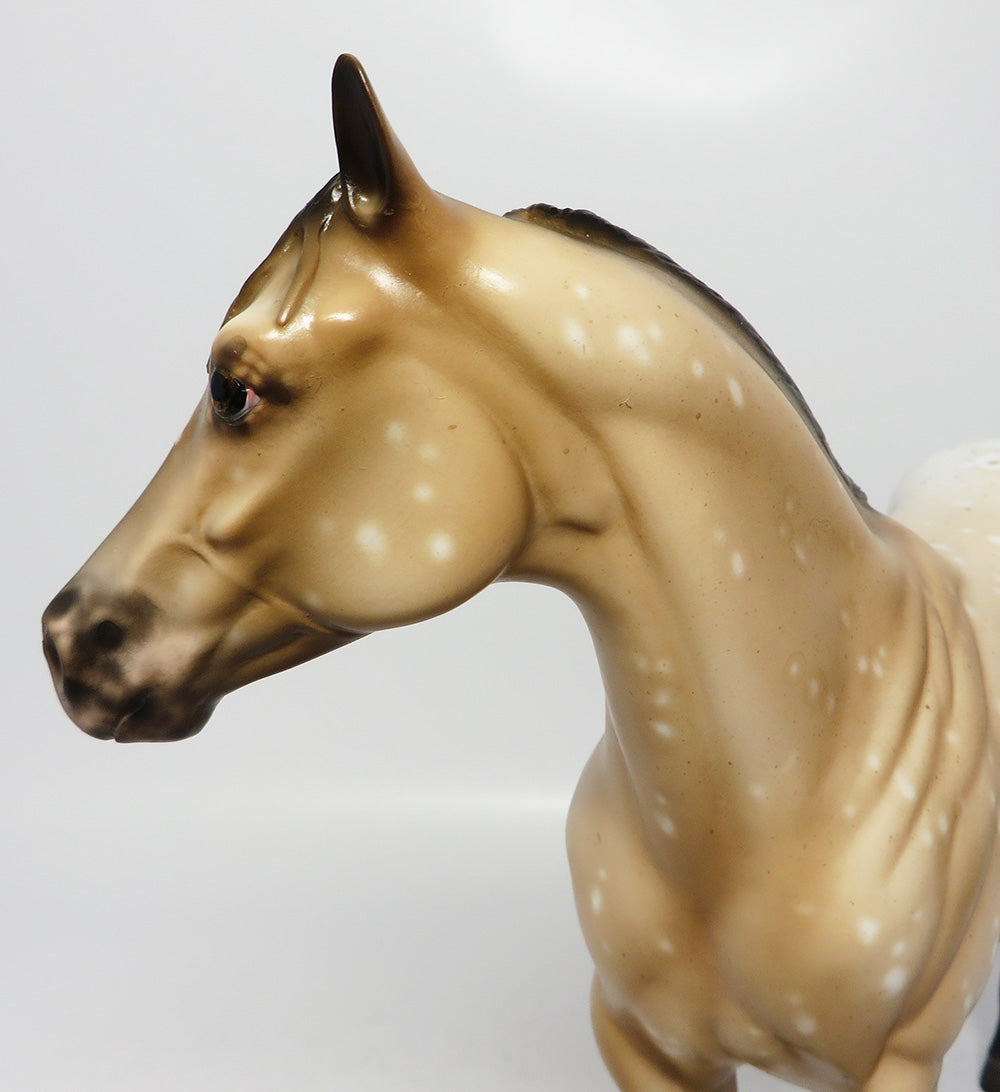 CAJUN-OOAK BAY APPALOOSA ISH MODEL HORSE 8/1/17