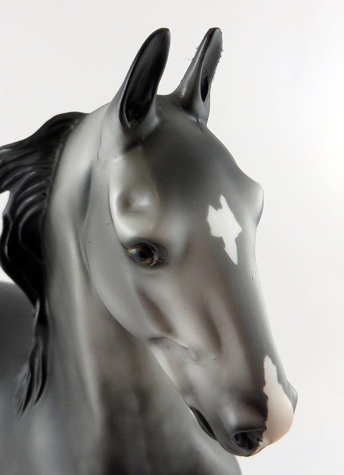 PEA EYE PARKER-OOAK DAPPLED DARK GREY SADDLEBRED BY DAWN QUICK 9/15