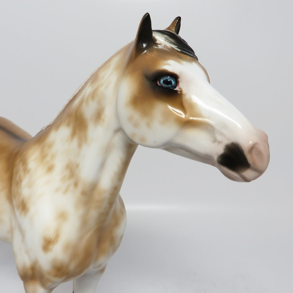 KIWI-OOAK BUCKSKIN SABINO SPANISH MUSTANG MODEL HORSE 7/31/17