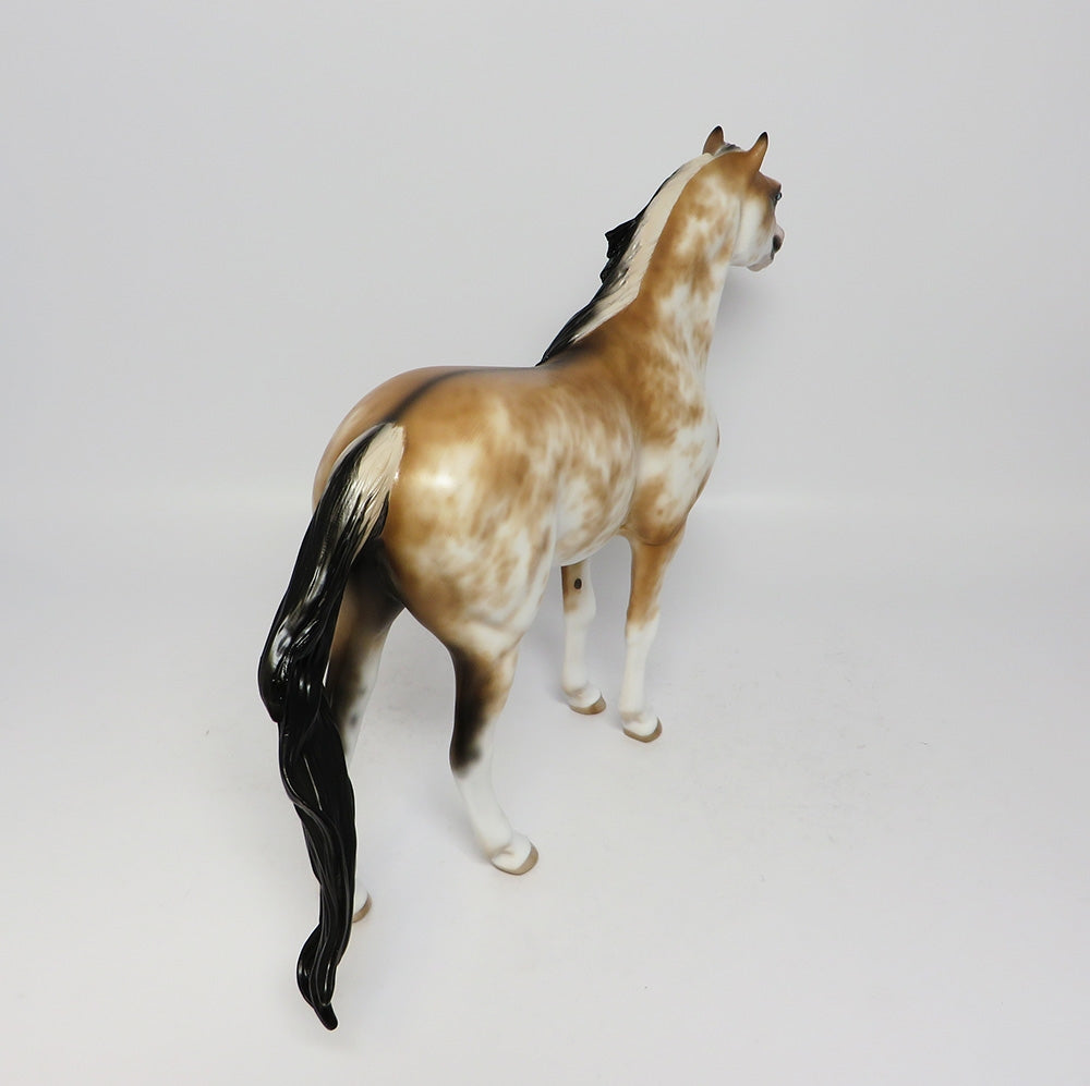 KIWI-OOAK BUCKSKIN SABINO SPANISH MUSTANG MODEL HORSE 7/31/17