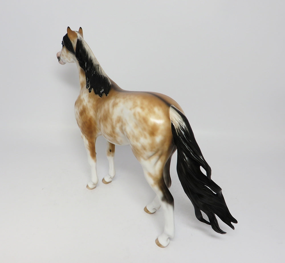 KIWI-OOAK BUCKSKIN SABINO SPANISH MUSTANG MODEL HORSE 7/31/17
