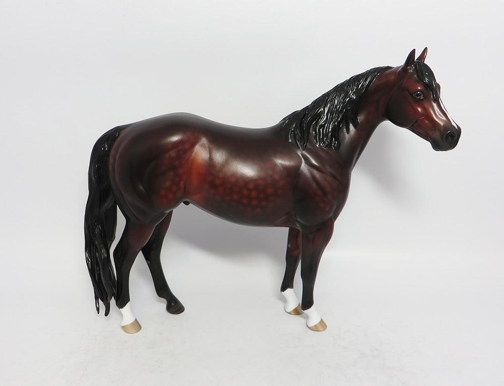 ADIAGO-OOAK DARK DAPPLE BAY ISH MODEL HORSE BY SHERYL LEISURE 3-1-18