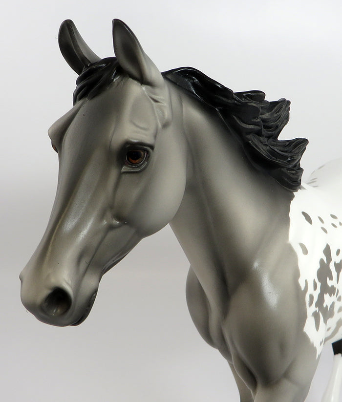 CASHEL-OOAK GREY APPALOOSA PALOUSE MODEL HORSE 2/10