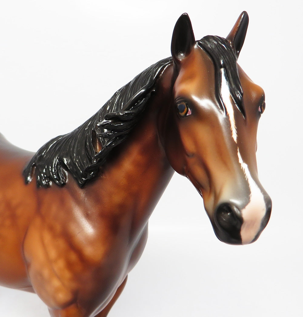 MOJO-OOAK DAPPLE BAY ISH MODEL HORSE SHERYL LEISURE 8/3/17