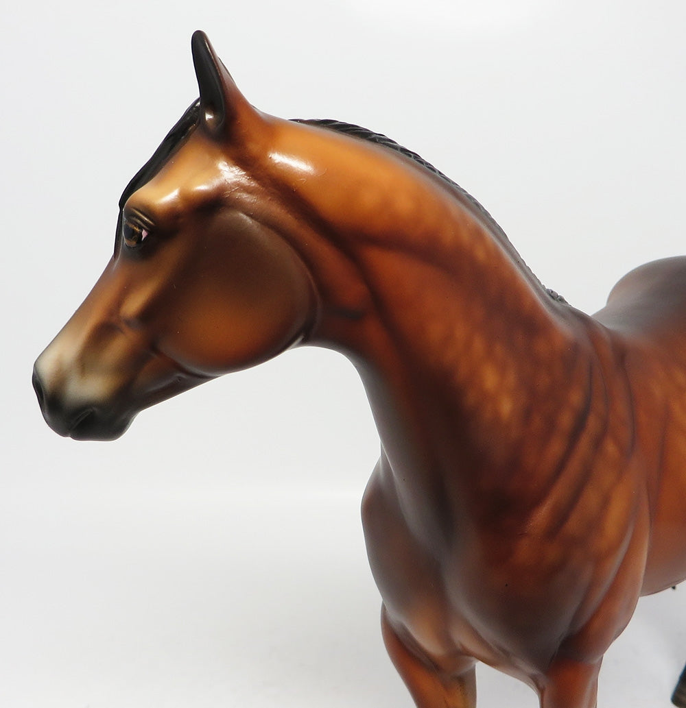 MOJO-OOAK DAPPLE BAY ISH MODEL HORSE SHERYL LEISURE 8/3/17