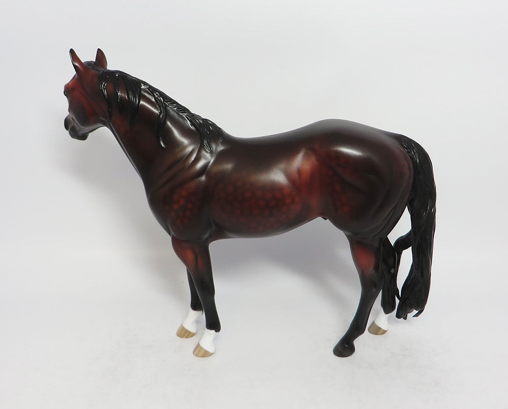 ADIAGO-OOAK DARK DAPPLE BAY ISH MODEL HORSE BY SHERYL LEISURE 3-1-18