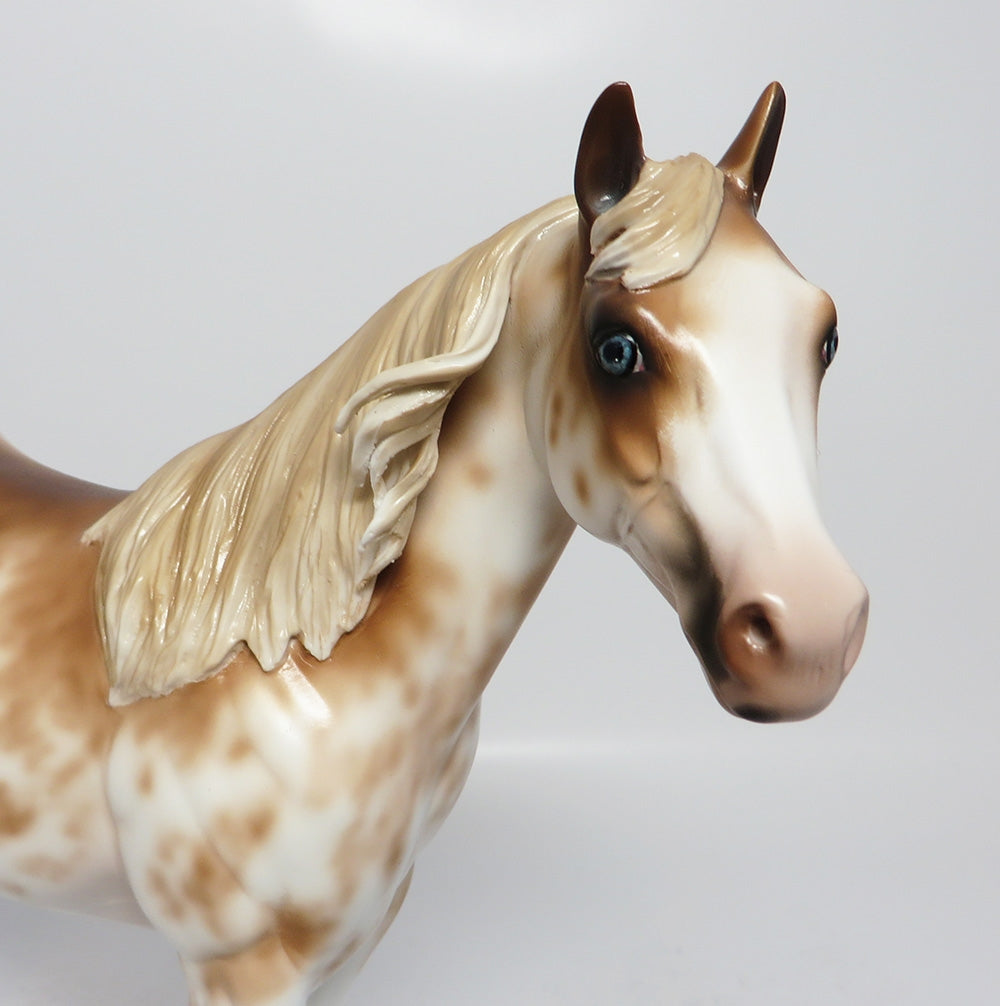 TESLA~OOAK CHESTNUT SABINO ISH MODEL HORSE BY SHERYL LEISURE 7/28/17