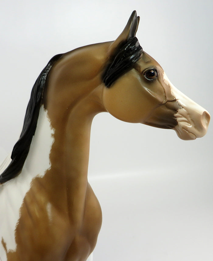 SHEERAN~OOAK DAPPLE BUCKSKIN ETCHED PAINT ARABIAN MODEL HORSE 2/15