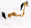 buckskin