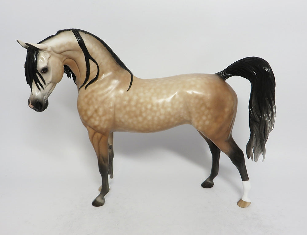 ODE TO JOY-OOAK BAY GOING GREY ARABIAN MODEL HORSE BY SHERYL LEISURE 3-1-18