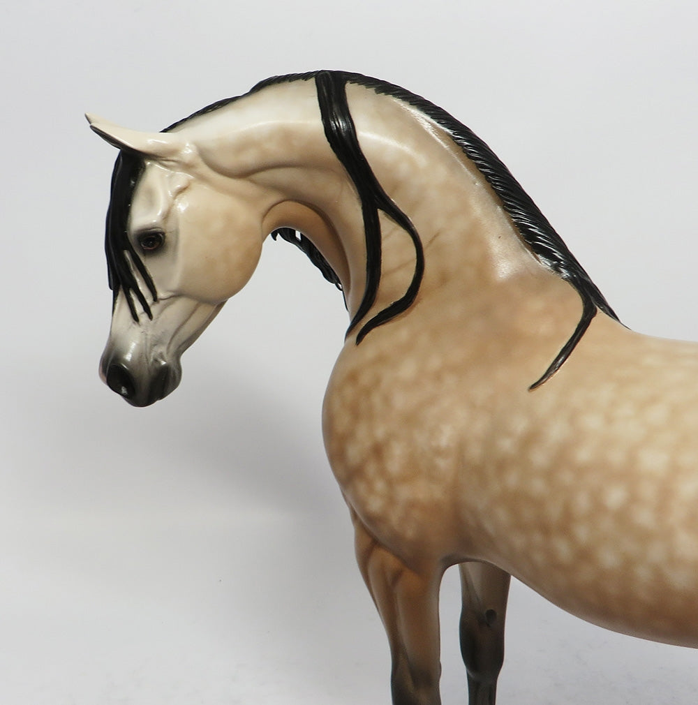 ODE TO JOY-OOAK BAY GOING GREY ARABIAN MODEL HORSE BY SHERYL LEISURE 3-1-18