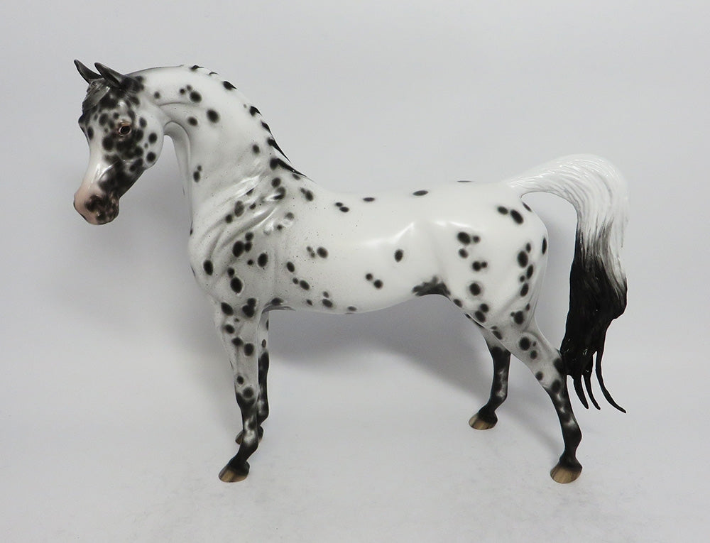 SABRE DANCE-OOAK LEOPARD APPALOOSA ARABIAN MODEL HORSE BY SHERYL LEISURE 3-1-18