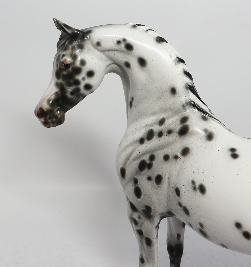 SABRE DANCE-OOAK LEOPARD APPALOOSA ARABIAN MODEL HORSE BY SHERYL LEISURE 3-1-18