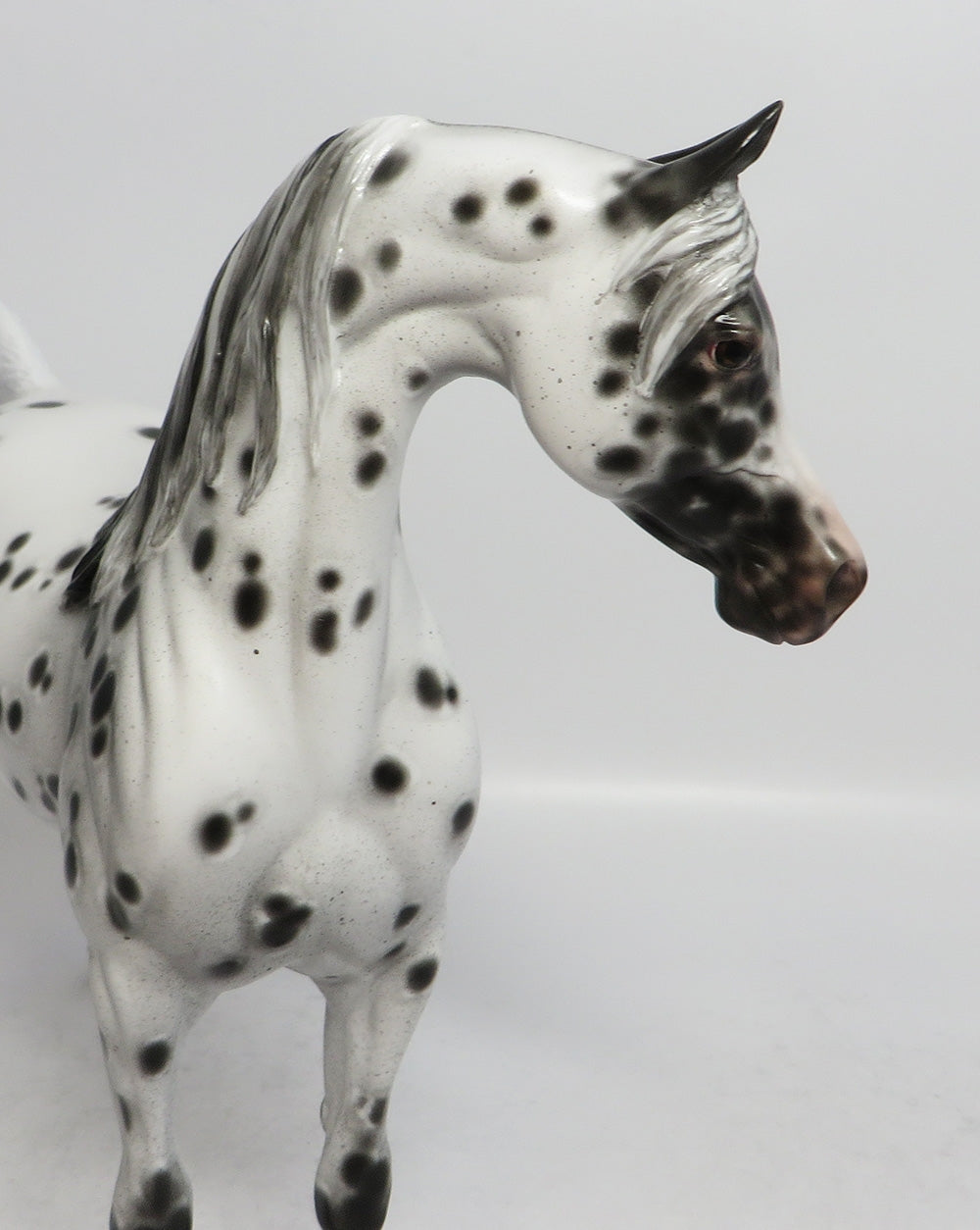 SABRE DANCE-OOAK LEOPARD APPALOOSA ARABIAN MODEL HORSE BY SHERYL LEISURE 3-1-18