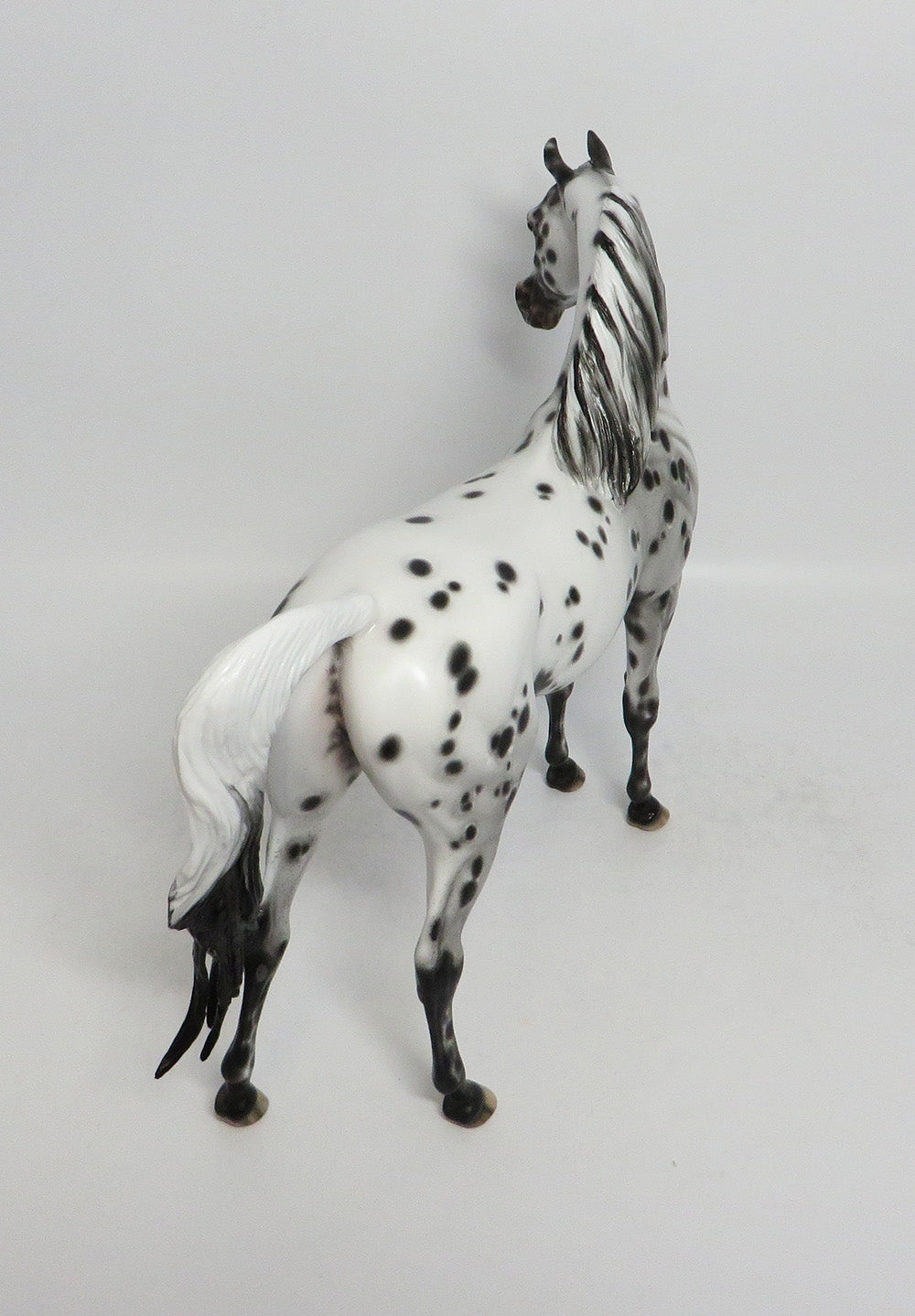 SABRE DANCE-OOAK LEOPARD APPALOOSA ARABIAN MODEL HORSE BY SHERYL LEISURE 3-1-18