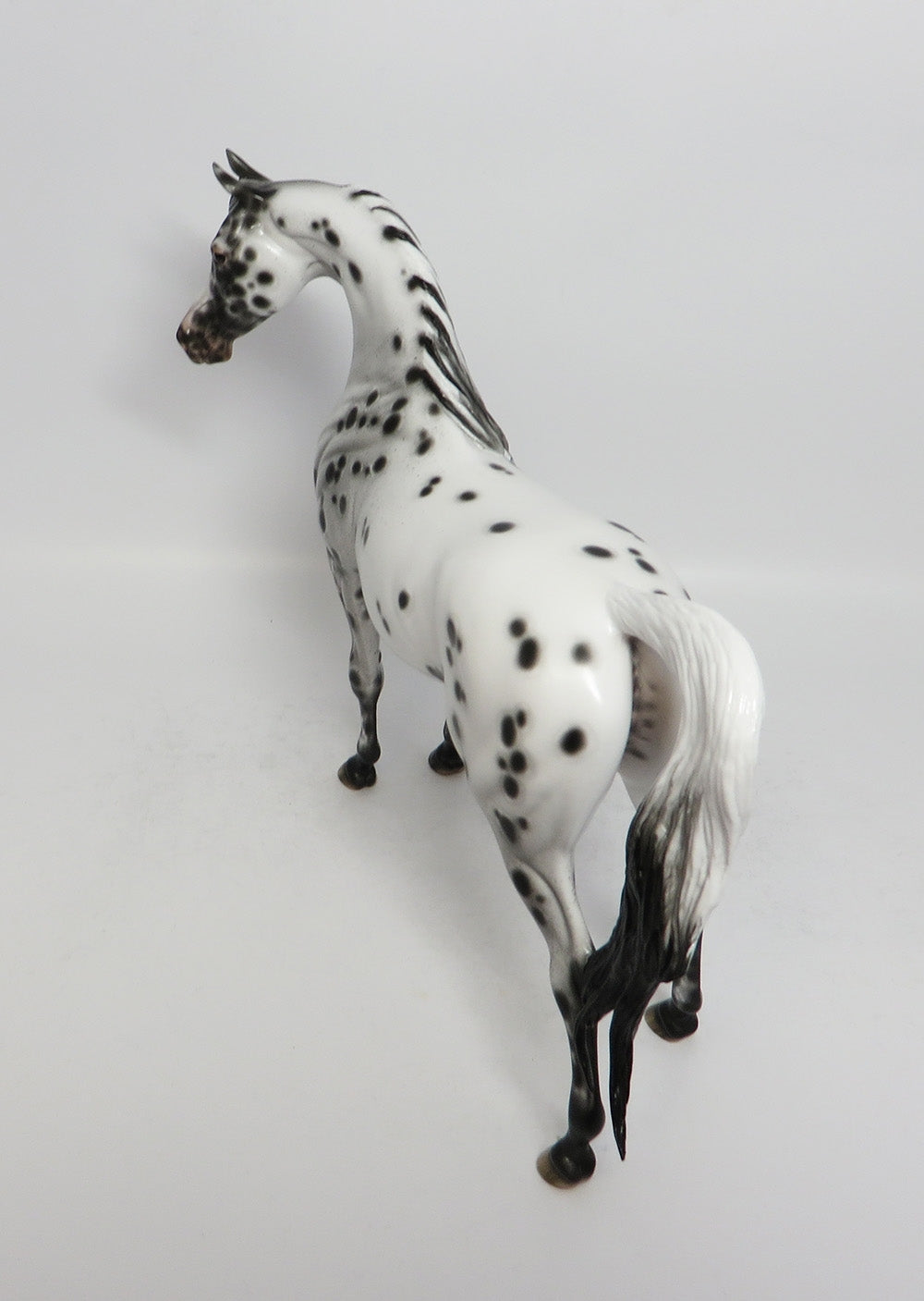 SABRE DANCE-OOAK LEOPARD APPALOOSA ARABIAN MODEL HORSE BY SHERYL LEISURE 3-1-18