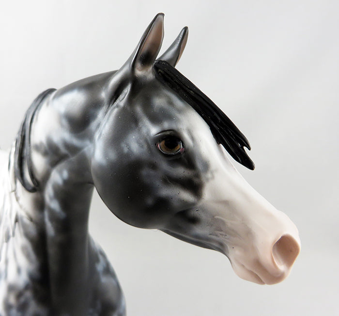MACBETH-OOAK APPALOOSA  ARABIAN MODEL HORSE BY DAWN QUICK 9/15