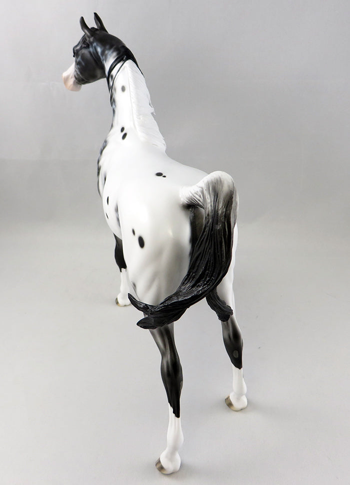 Appaloosa