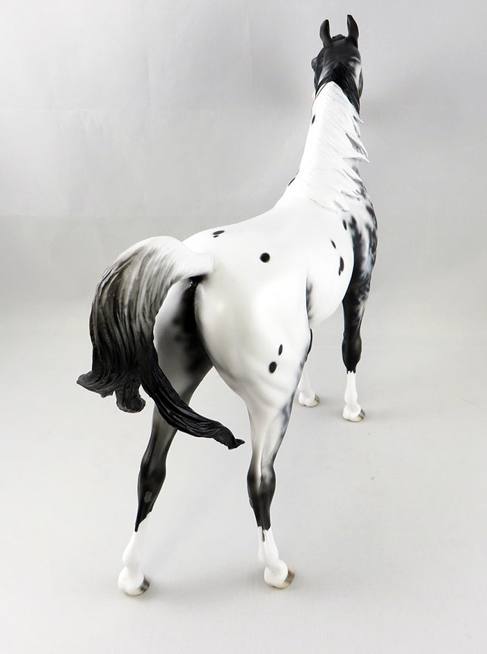 MACBETH-OOAK APPALOOSA  ARABIAN MODEL HORSE BY DAWN QUICK 9/15
