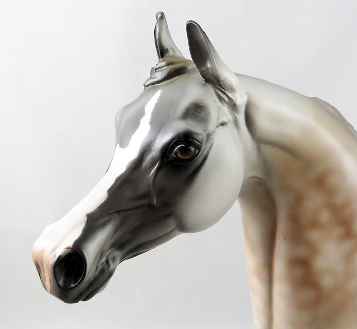 SEYTON-OOAK CHESTNUT GOING GREY  ARABIAN MODEL HORSE 9/15