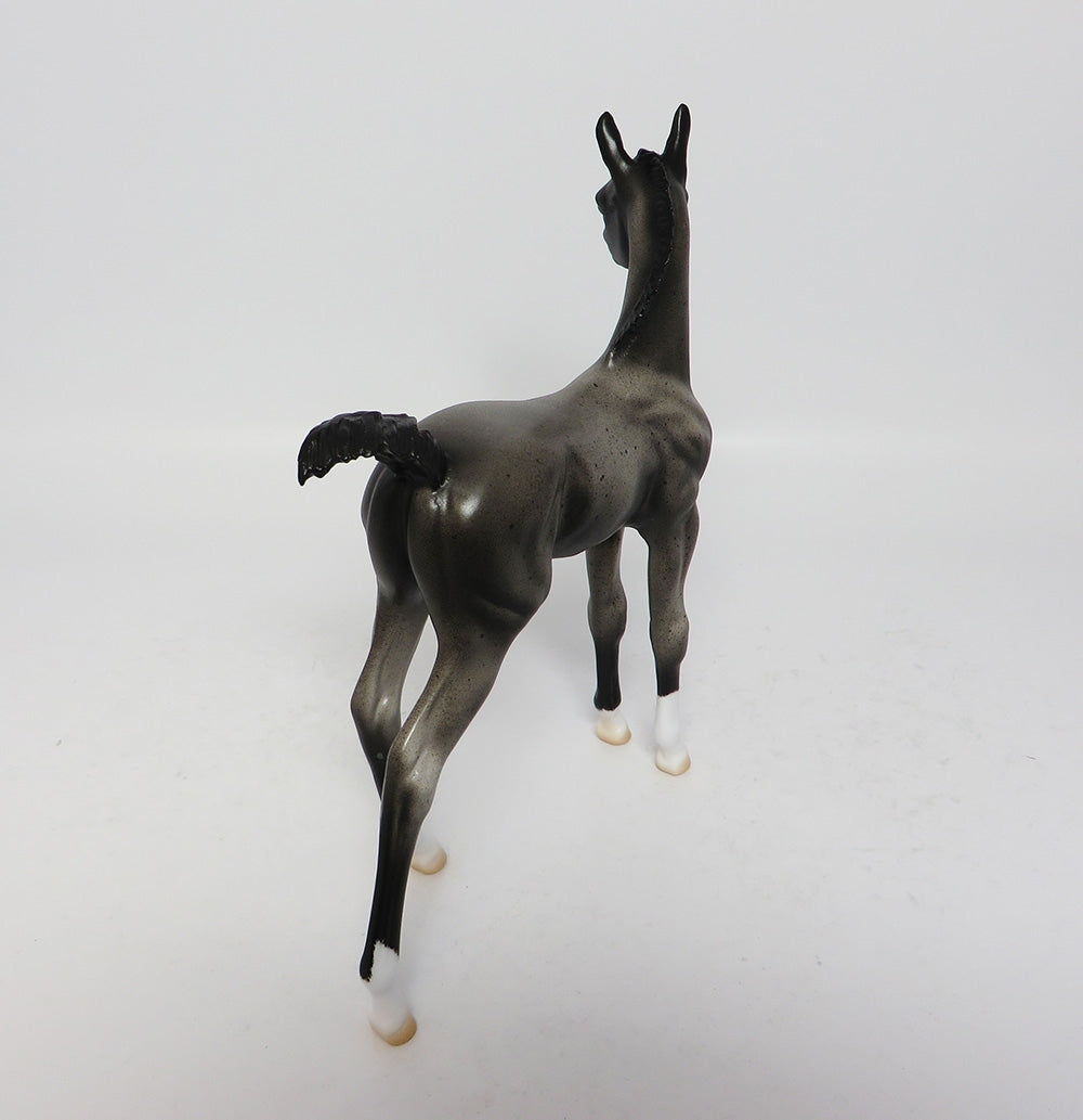 BOONE-OOAK BLUE ROAN FOAL MODEL HORSE 8/1/17