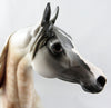 Arabian