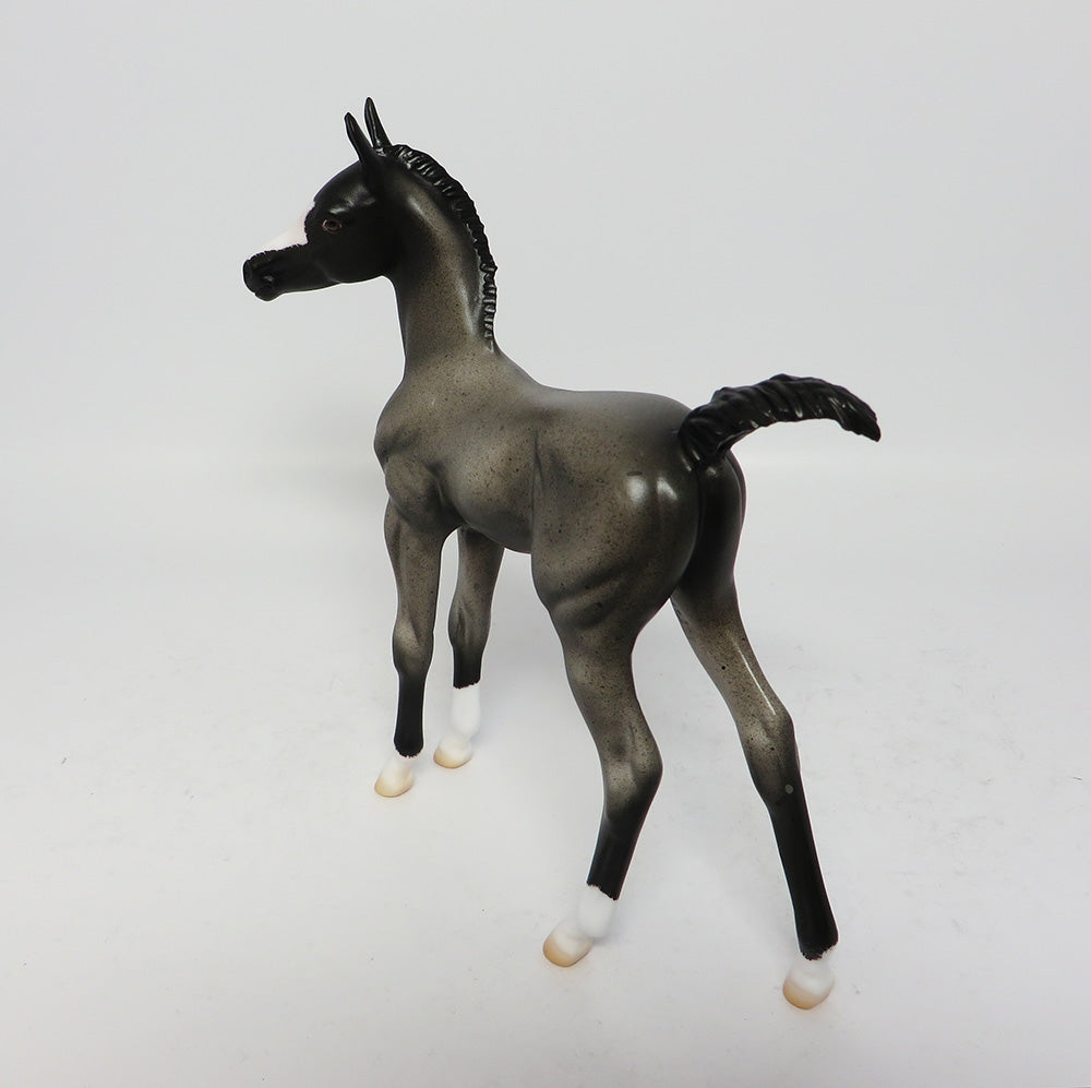 BOONE-OOAK BLUE ROAN FOAL MODEL HORSE 8/1/17