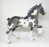 Pinto Horse