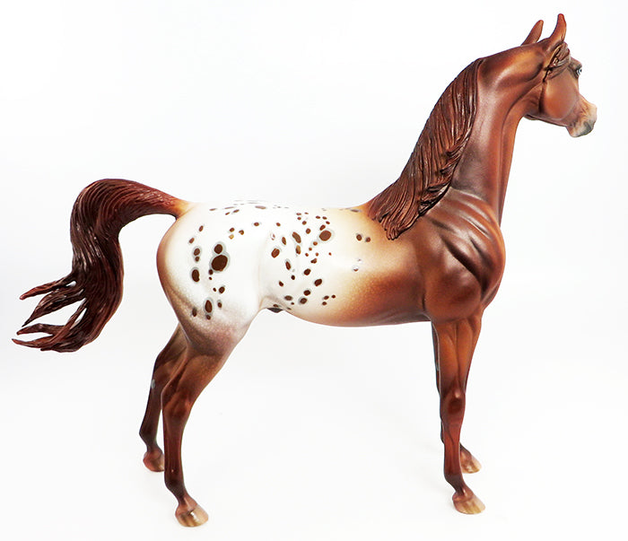 ARROW-OOAK CHESTNUT APPALOOSA ARABIAN MODEL HORSE BY DAWN QUICK 2/14