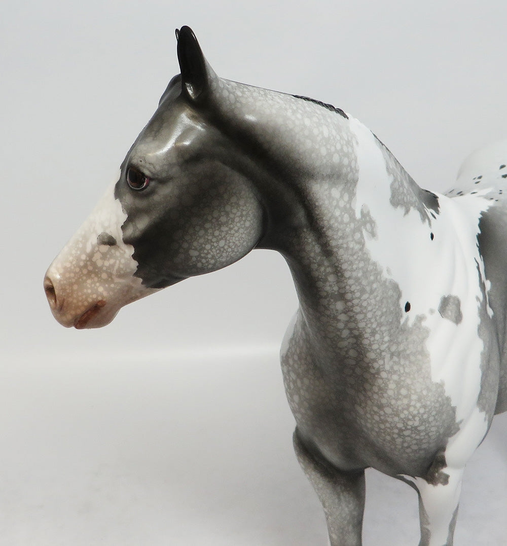 KINDA PRETTY-OOAK GREY PINTALOOSA ISH MODEL HORSE BY DAWN QUICK 3-1-18