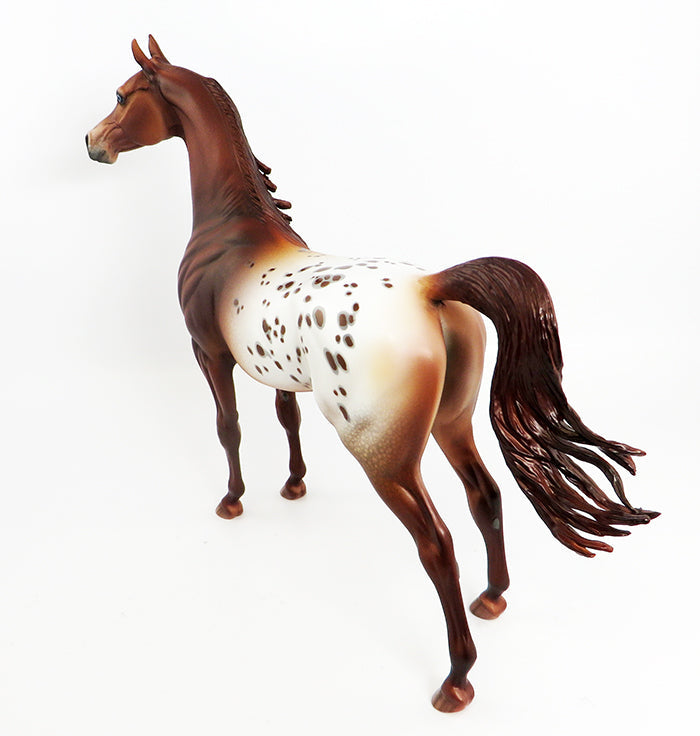ARROW-OOAK CHESTNUT APPALOOSA ARABIAN MODEL HORSE BY DAWN QUICK 2/14