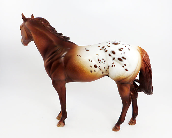 ROLLO-OOAK APPALOOSA CHESTNUT ISH MODEL HORSE BY DAWN QUICK 2/16