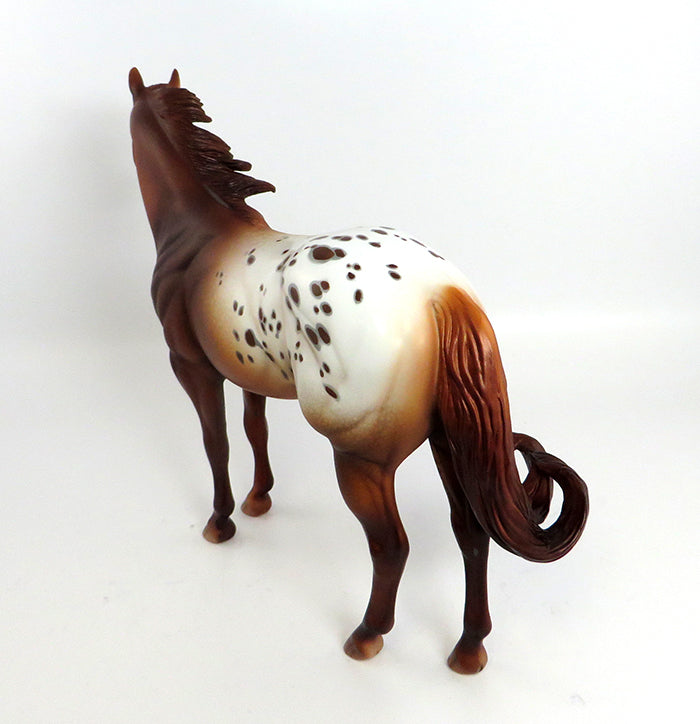 ROLLO-OOAK APPALOOSA CHESTNUT ISH MODEL HORSE BY DAWN QUICK 2/16