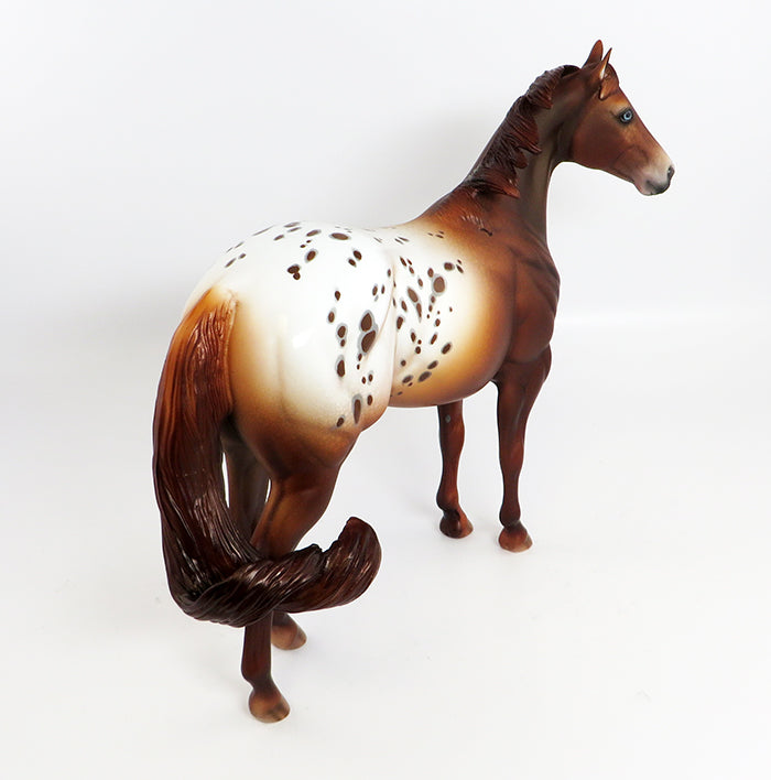 ROLLO-OOAK APPALOOSA CHESTNUT ISH MODEL HORSE BY DAWN QUICK 2/16