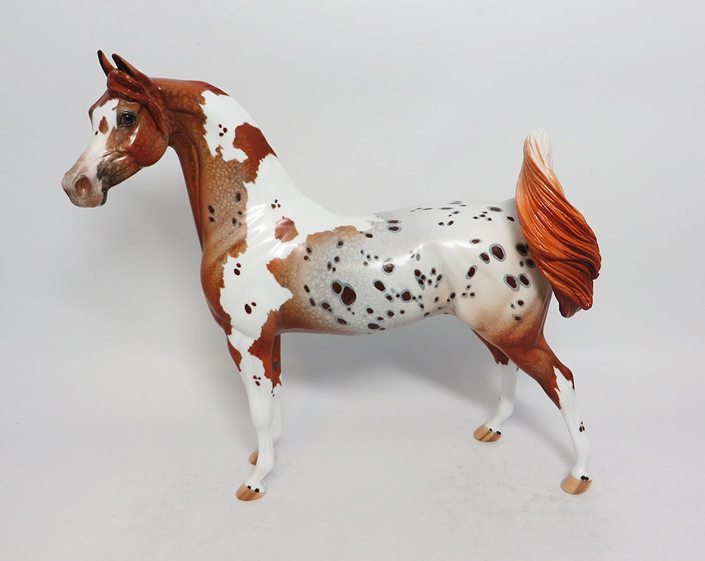 FOXY LADY-OOAK CHESTNUT PINTALOOSA ARABIAN MODEL HORSE BY DAWN QUICK 3-9-18