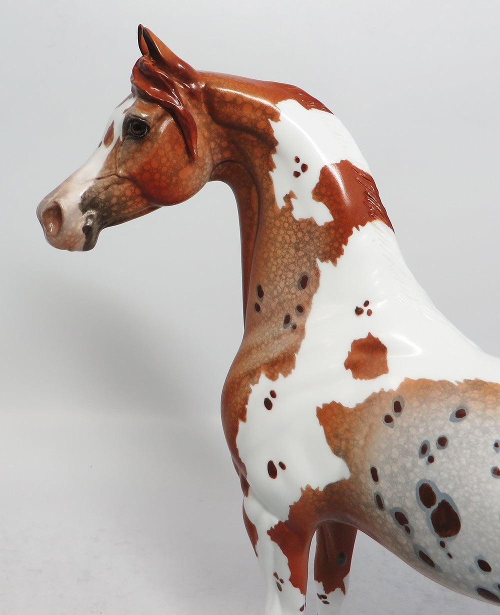 FOXY LADY-OOAK CHESTNUT PINTALOOSA ARABIAN MODEL HORSE BY DAWN QUICK 3-9-18