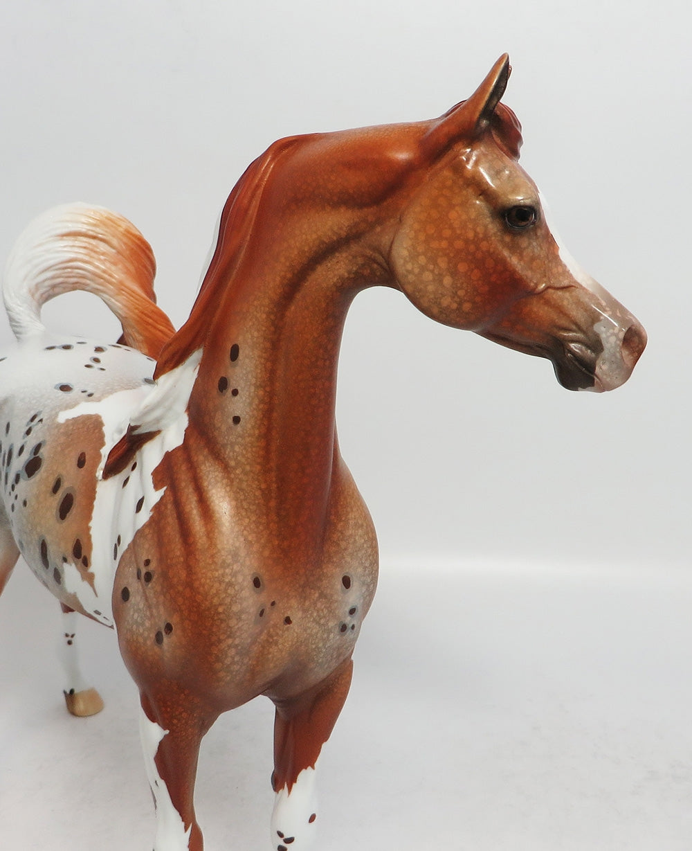 FOXY LADY-OOAK CHESTNUT PINTALOOSA ARABIAN MODEL HORSE BY DAWN QUICK 3-9-18