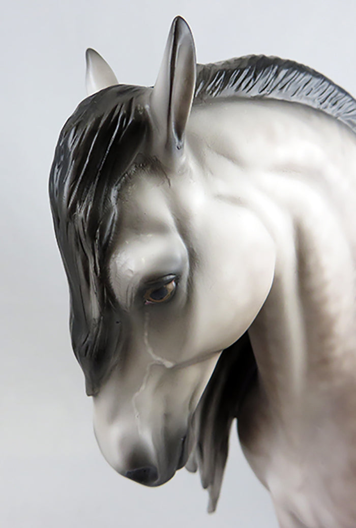 KAZIM-OOAK DAPPLE GREY ANDALUSIAN BY SHERYL LEISURE 9/15