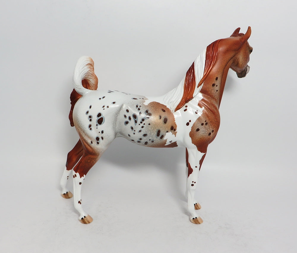 FOXY LADY-OOAK CHESTNUT PINTALOOSA ARABIAN MODEL HORSE BY DAWN QUICK 3-9-18