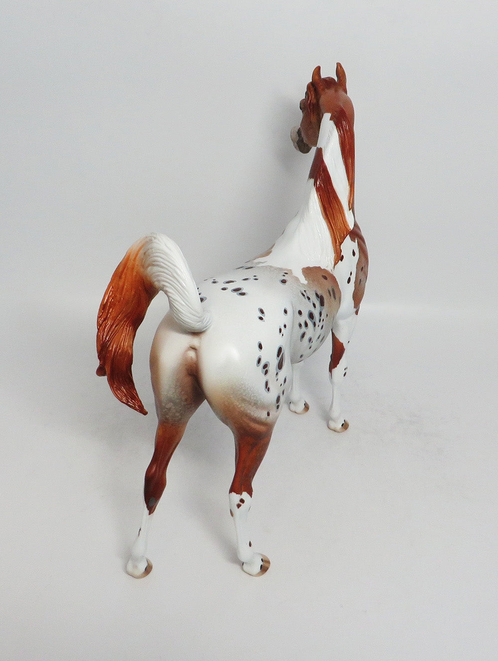FOXY LADY-OOAK CHESTNUT PINTALOOSA ARABIAN MODEL HORSE BY DAWN QUICK 3-9-18