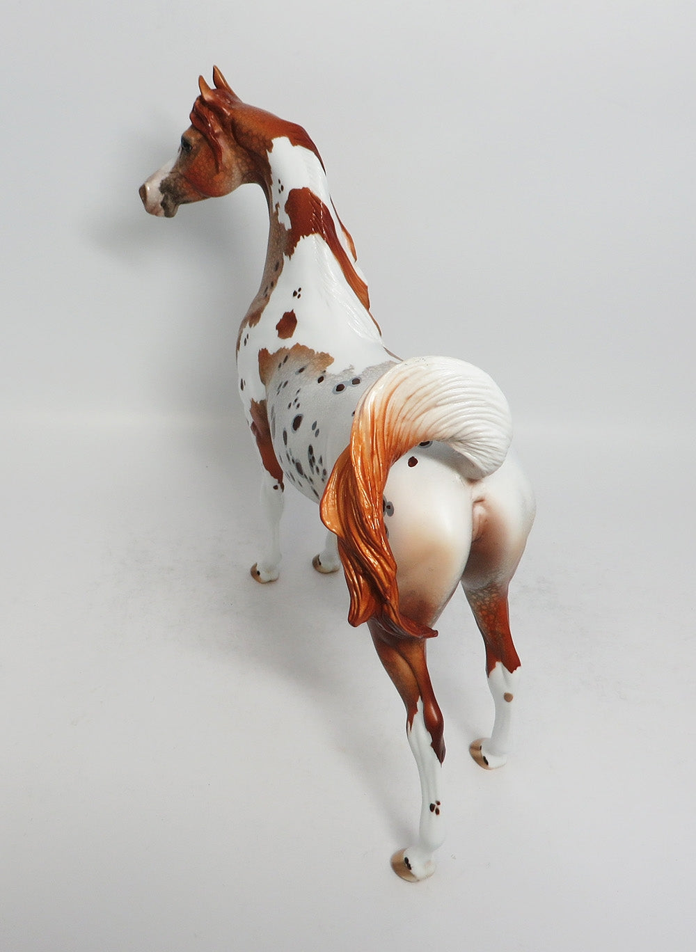 FOXY LADY-OOAK CHESTNUT PINTALOOSA ARABIAN MODEL HORSE BY DAWN QUICK 3-9-18