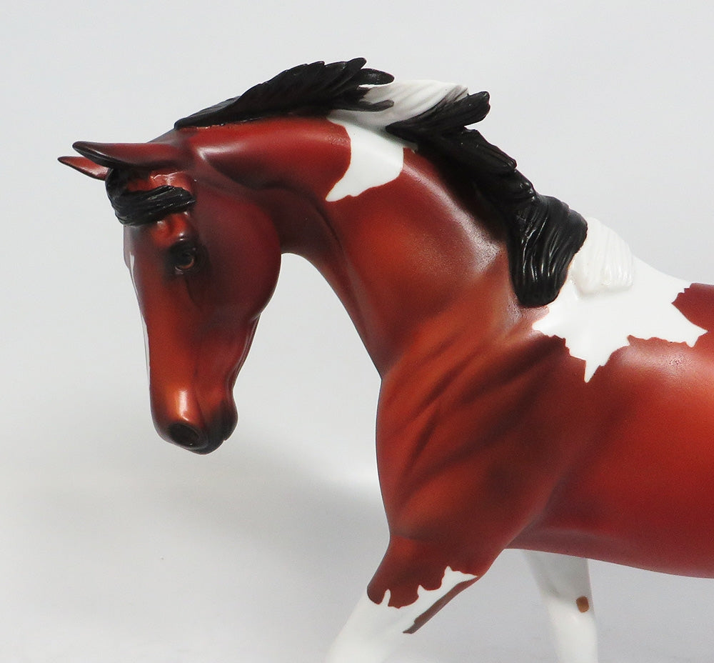 CHILLICOTHE - LE5 BAY PINTO PONY MODEL HORSE EQ2018