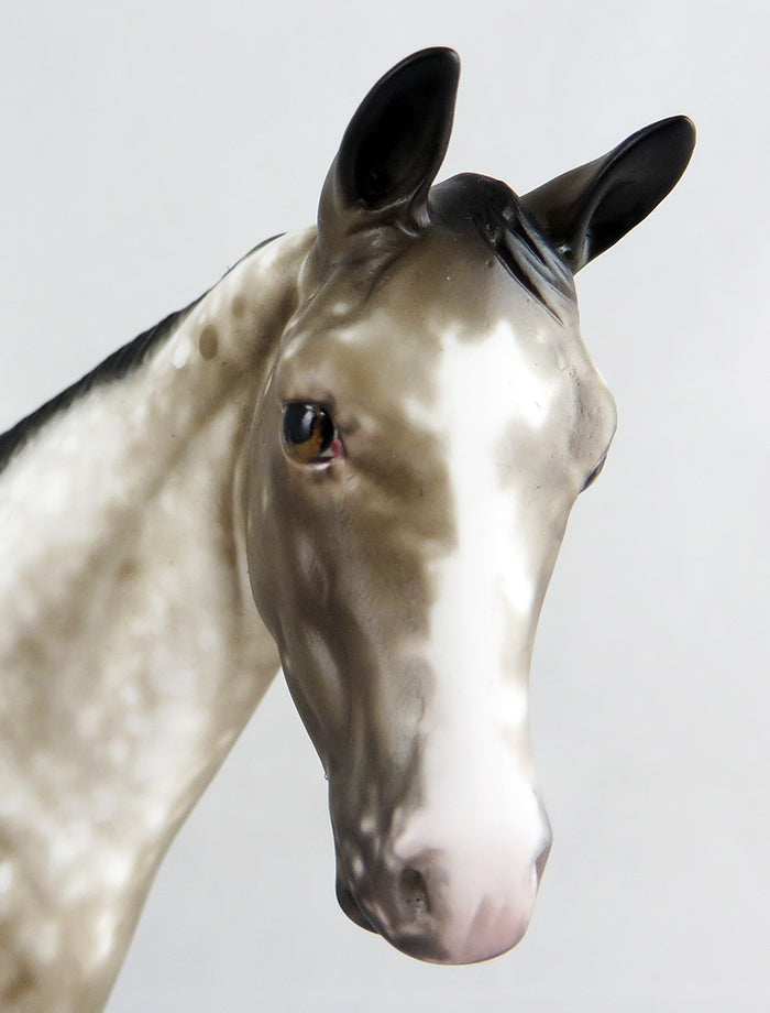 LAO CHE-OOAK APPALOOSA YEARLING MODEL HORSE BY SHERYL LEISURE 9/15