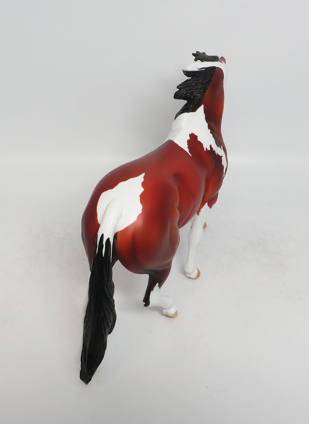 CHILLICOTHE - LE5 BAY PINTO PONY MODEL HORSE EQ2018