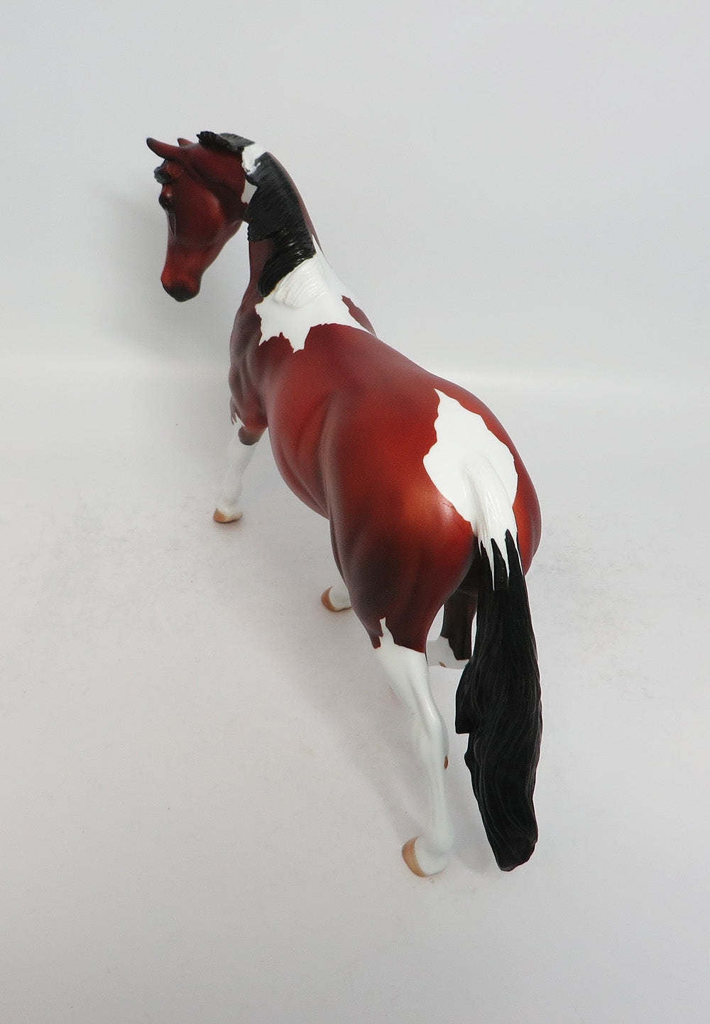 CHILLICOTHE - LE5 BAY PINTO PONY MODEL HORSE EQ2018