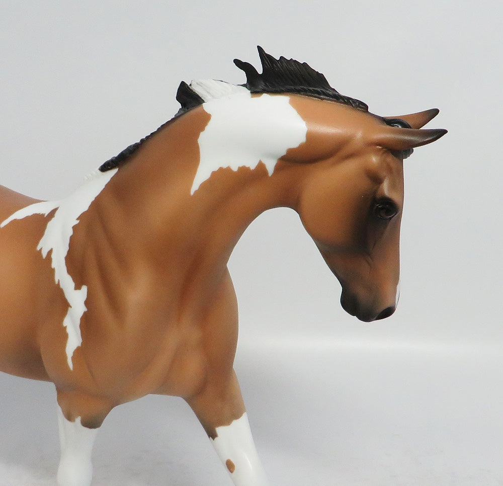 FITCHBURG - LE5 BUCKSKIN PINTO PONY MODEL HORSE MW2018