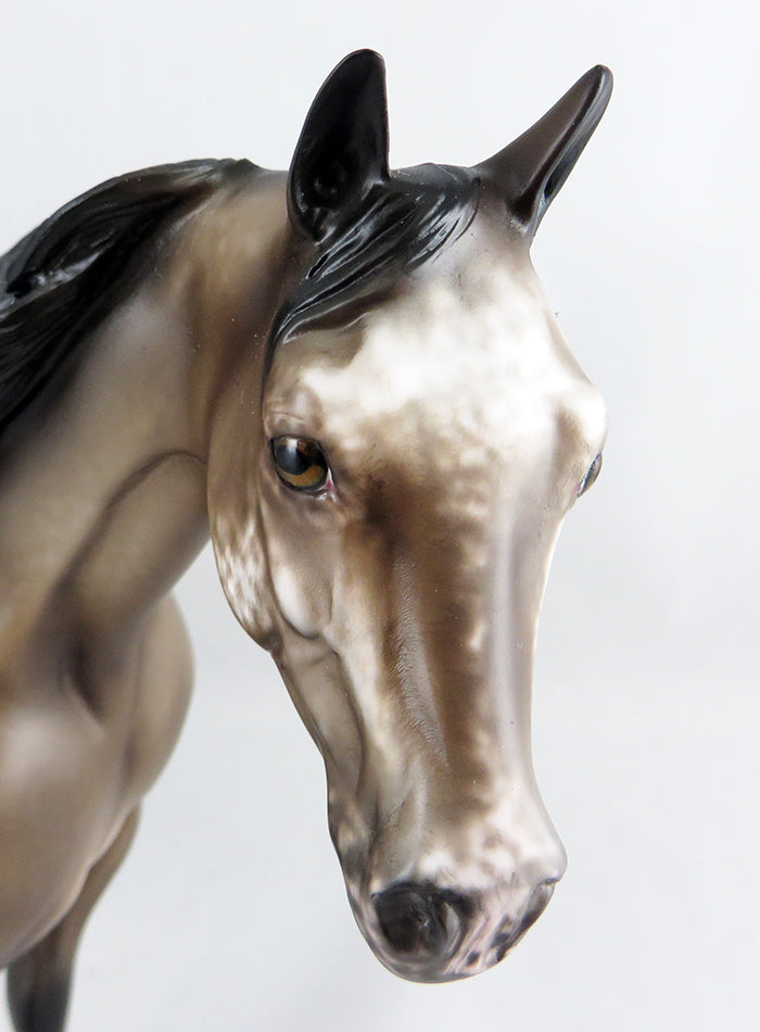 FLASH A ROCK-OOAK BAY ROAN APPALOOSA ISH MODEL HORSE BY SHERYL LEISURE 9/15